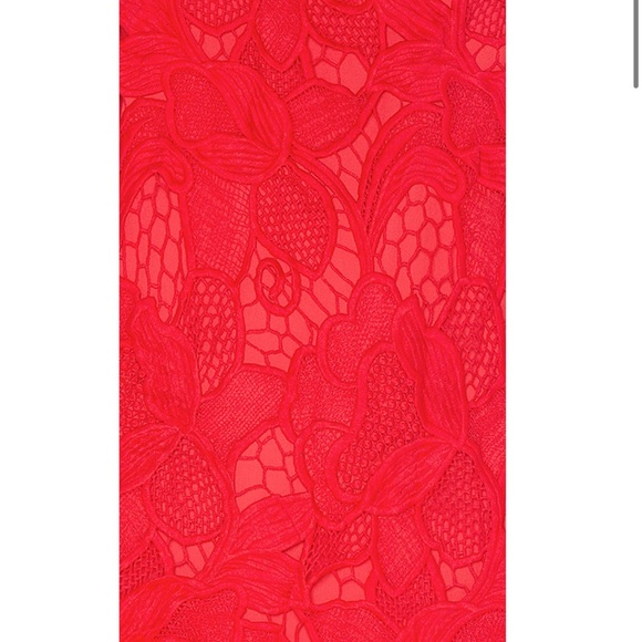 Lovers + Friends Red lace dress - Picture 4 of 11